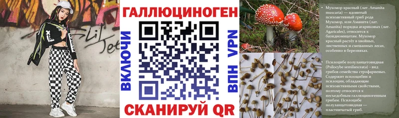 Галлюциногенные грибы Psilocybe Буй